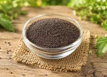 Jakhiya: Uttarakhand’s Tiny Seed with an Unforgettable Flavor