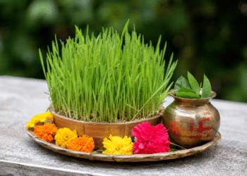 Harela Festival: Uttarakhand’s Timeless Celebration of Nature, Agriculture, and New Beginnings