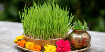Harela Festival: Uttarakhand’s Timeless Celebration of Nature, Agriculture, and New Beginnings