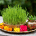 Harela Festival: Uttarakhand’s Timeless Celebration of Nature, Agriculture, and New Beginnings
